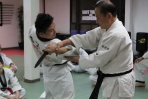 martial arts north york school