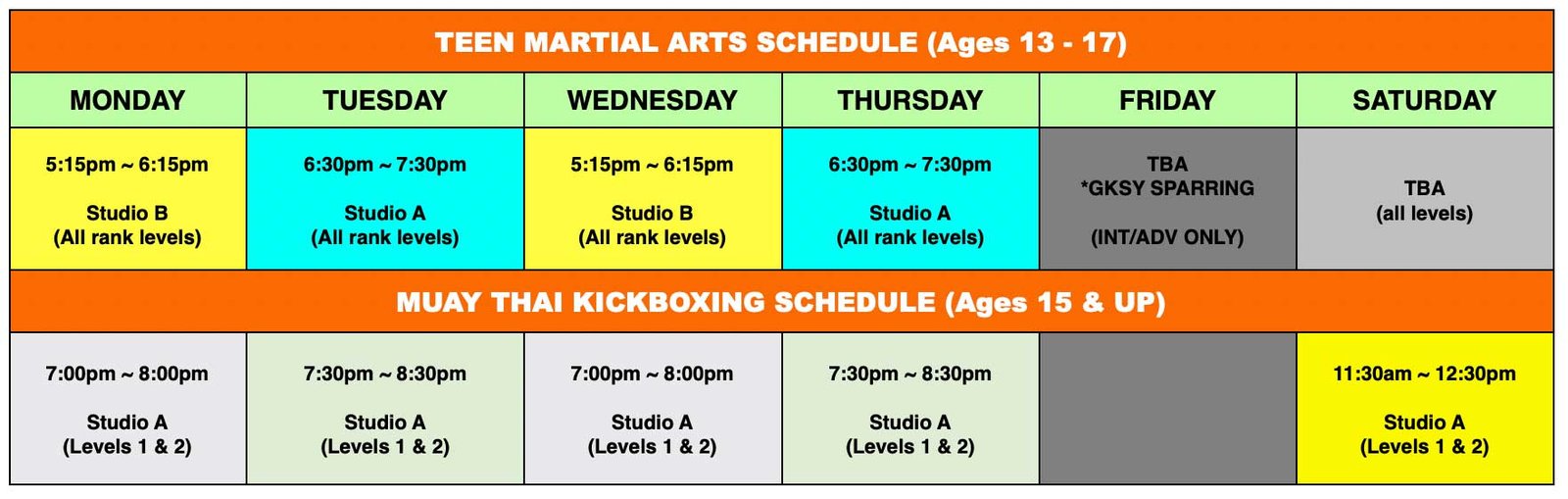 teen martial arts schedule north york